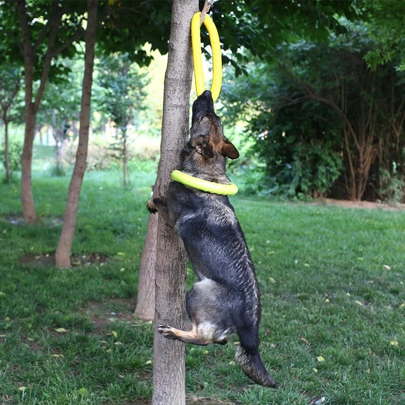 Durable Bite Ring Toy for Large and Small Dogs