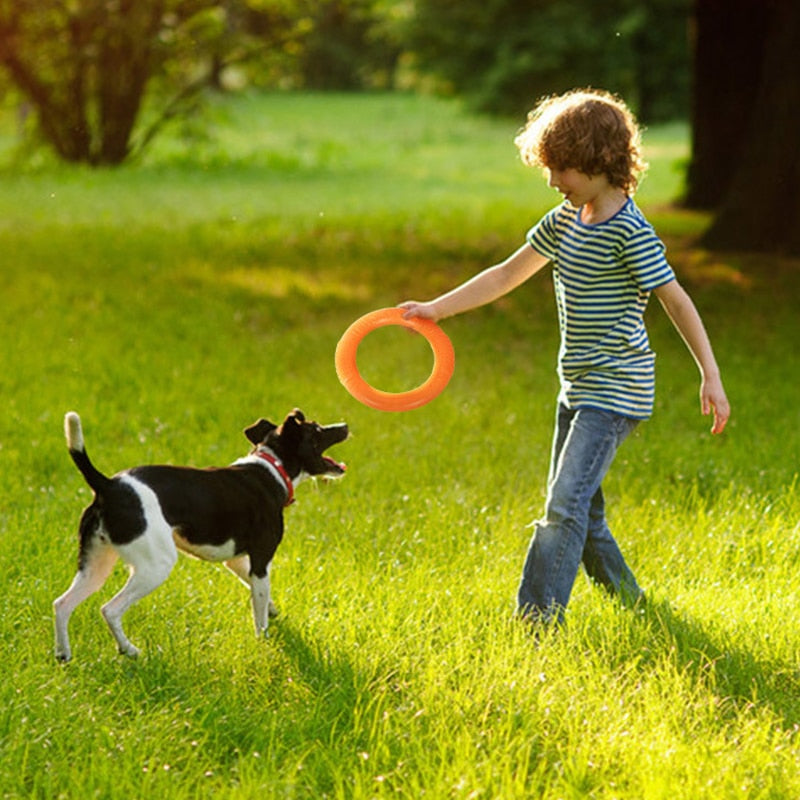 Durable Bite Ring Toy for Large and Small Dogs