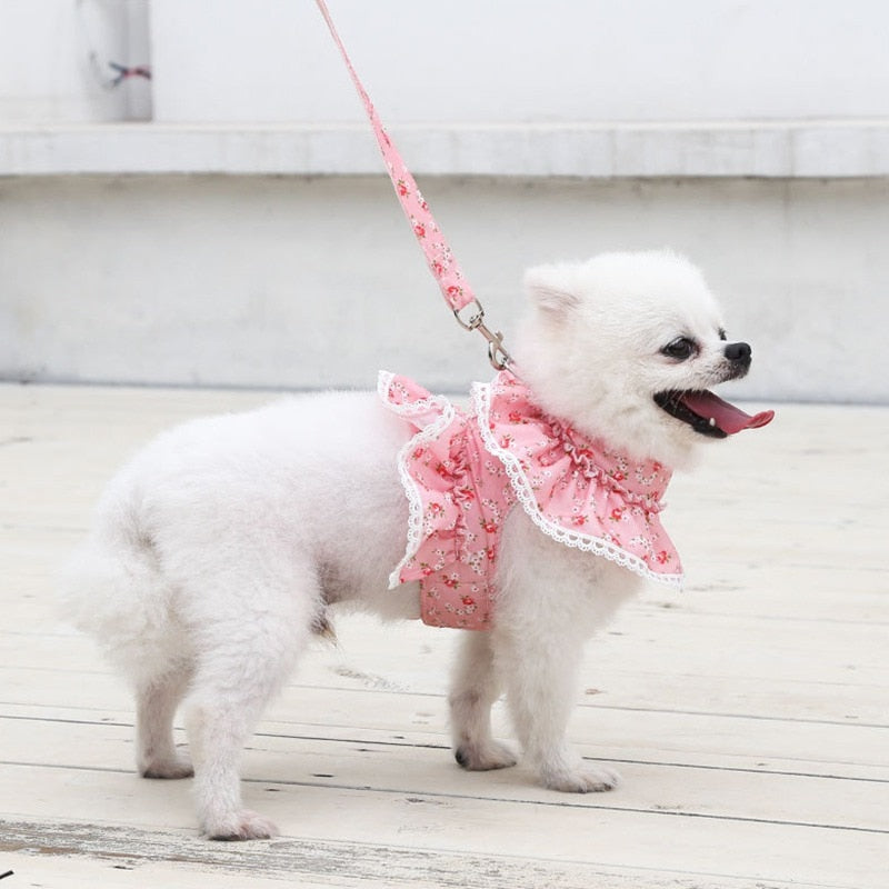 Dog and Cat Floral Dress Harness With Matching Leash