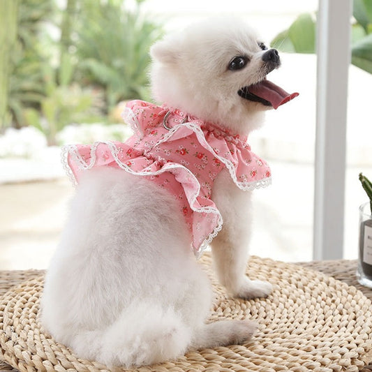 Dog and Cat Floral Dress Harness With Matching Leash